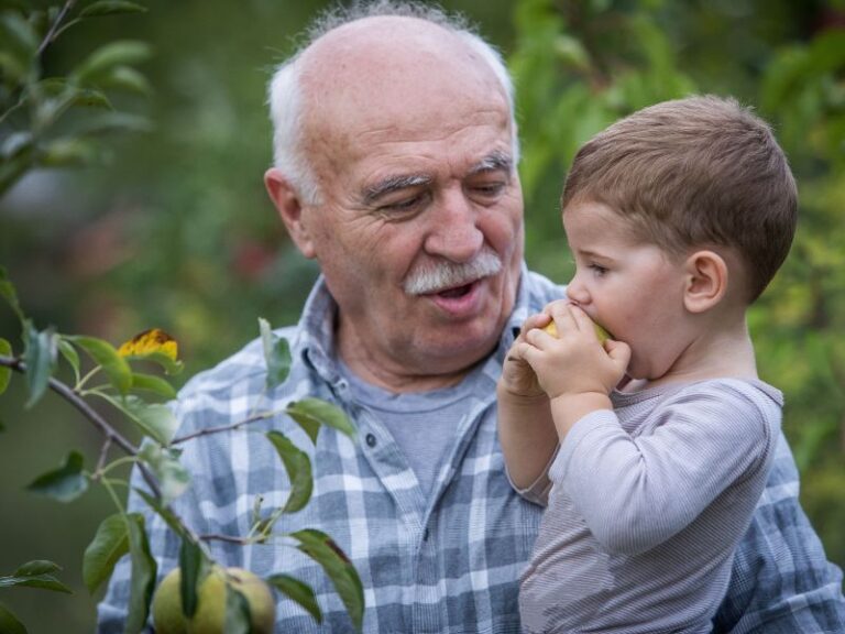 fabrica de fraldas geriatricas