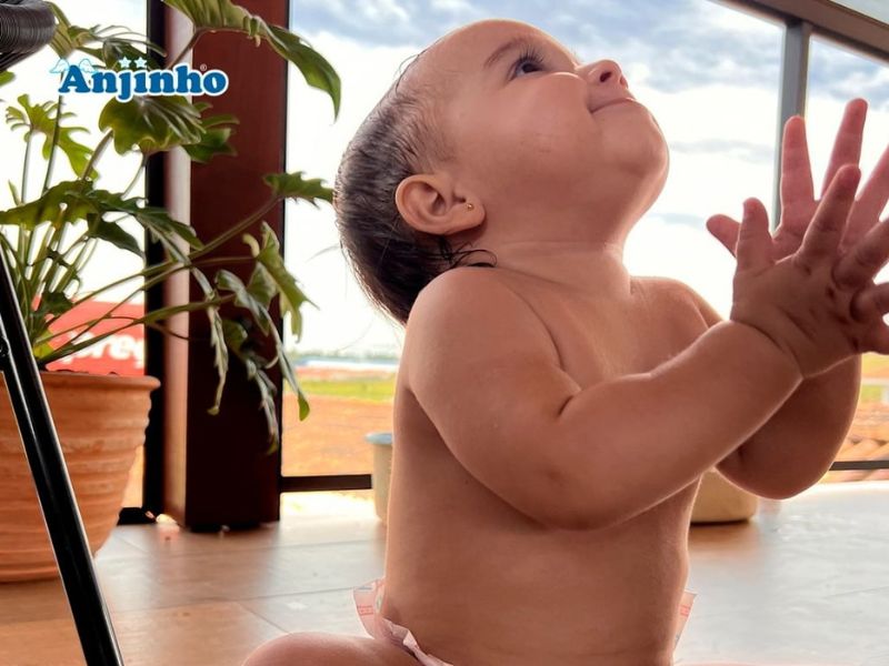 distribuidora de fraldas e lenços umedecidos